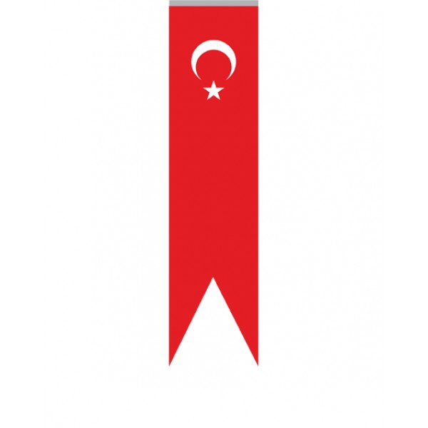 Kırlangıç Türk Bayrağı/004